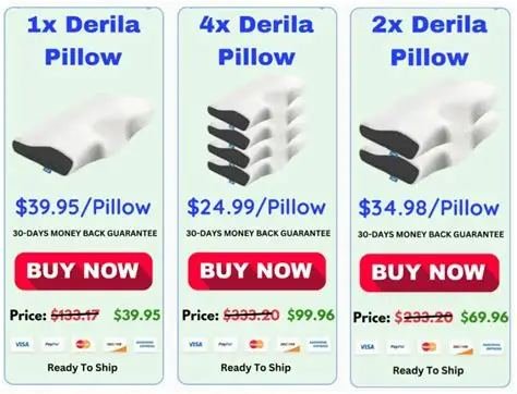 Derila Ergo Pillow buy from the official website